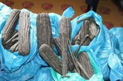 ३५ किलो लागु औषध चरेस सहित २ जना नियन्त्रणमा